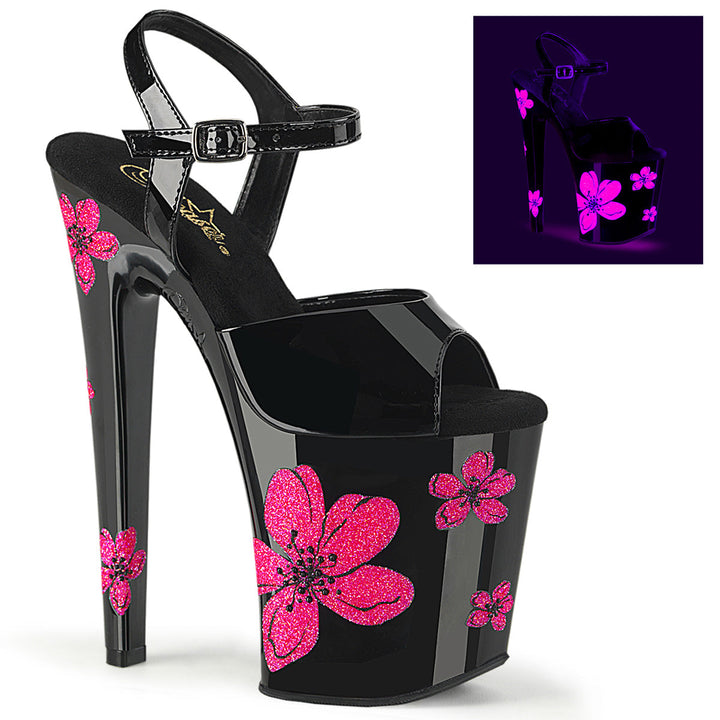 Pleaser XTREME-809HB